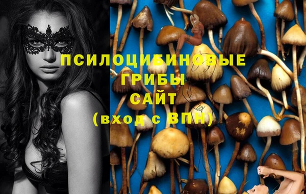 ГАЛЛЮЦИНОГЕННЫЕ ГРИБЫ Аркадак