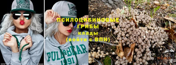ГАЛЛЮЦИНОГЕННЫЕ ГРИБЫ Аркадак