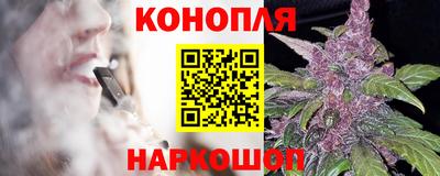 шишки Краснознаменск